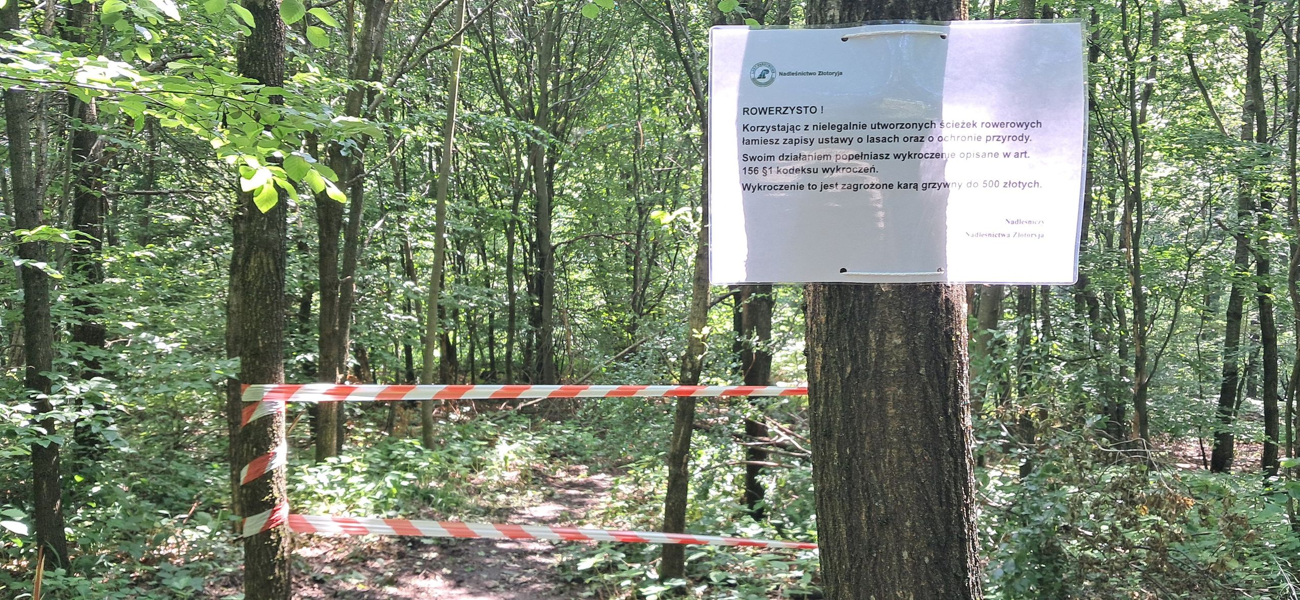 Nielegalne ścieżki i kartki ostrzegawcze. Leśnicy z Złotoryi nie
