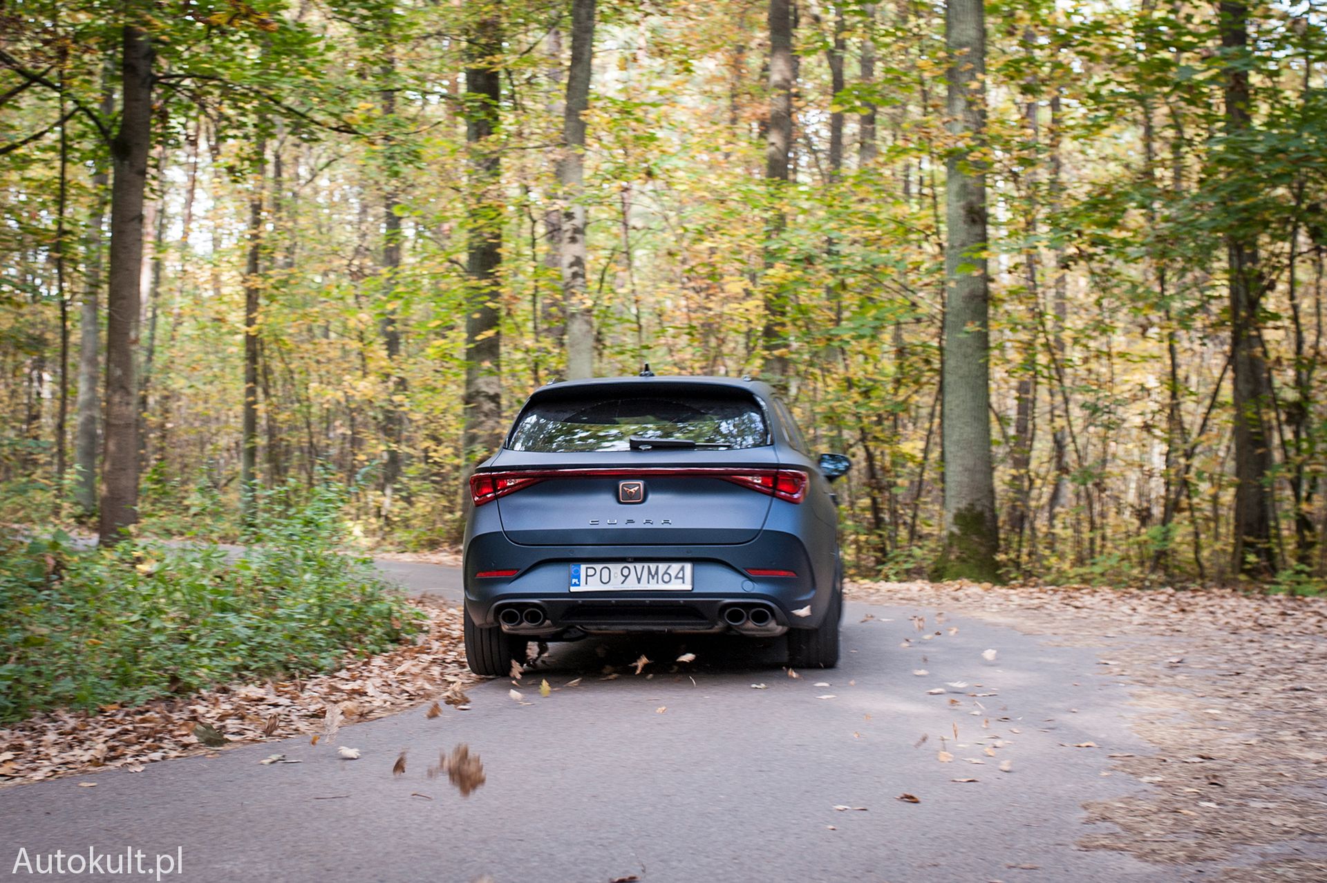 Leon Cupra ST 310 4Drive (2022)