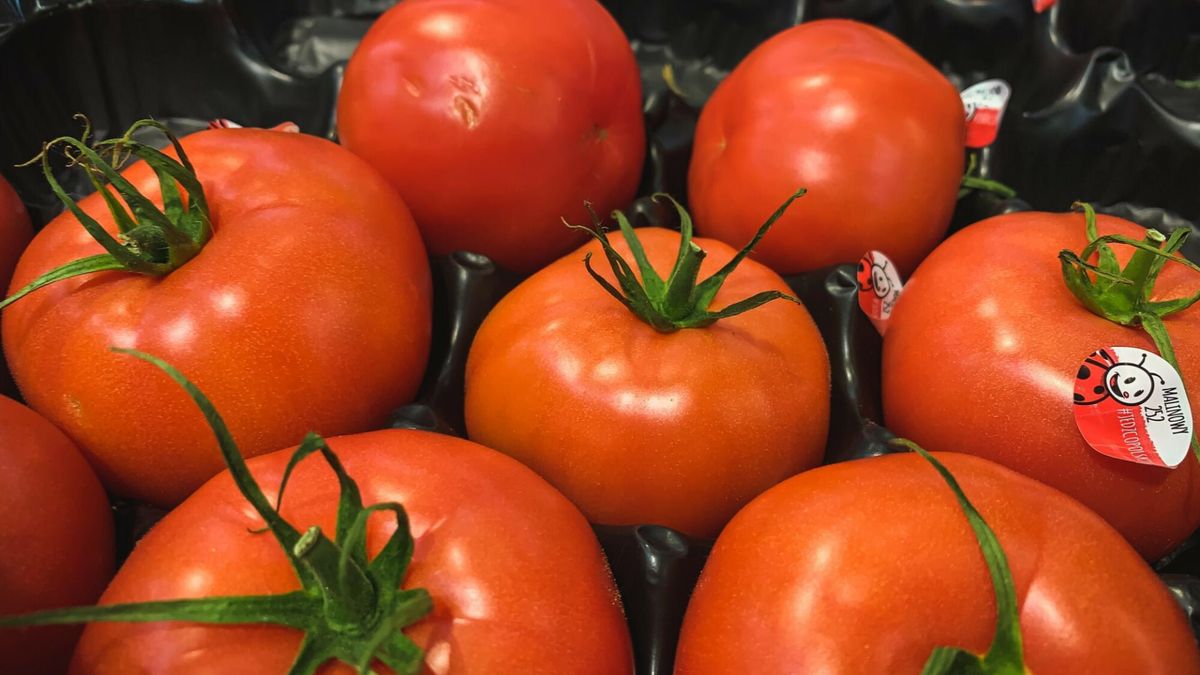 Pestycydy w Biedronce i Lidlu. Tym razem pod lupę wzięto pomidory