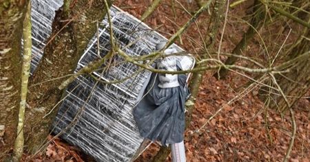 Strażnicy ujawnili pakunki przy granicy z Białorusią. Wartość: ponad 120 tys. zł