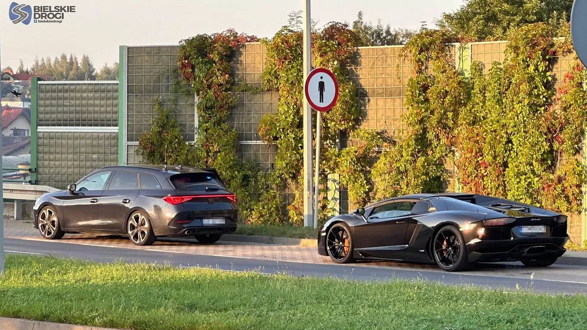 Grupa SPEED zatrzymała kierowcę lamborghini
