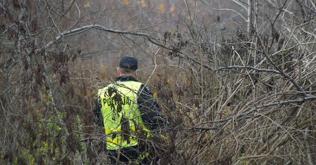 Poszukiwali zabytków, wykrywacz dał sygnał. W lesie, pod ziemią znaleźli ludzkie szczątki