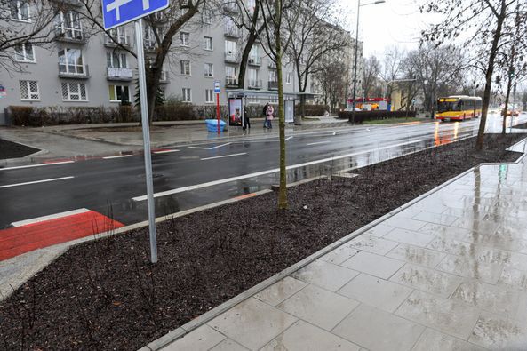 Warszawa. Ulica Saska zachwyci nas na wiosnę bujną zielenią. Posadzono tu 8 tysięcy rośln - krewów, bylin i drzew. Te ostatnie mogą urosnąć z czasem do wysokości ośmiu metrów