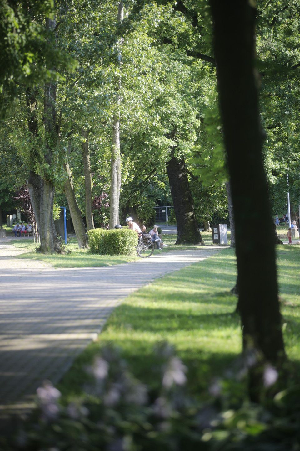 Setki Tyszan wykorzystały słoneczny weekend na wypoczynek na Paprocanach