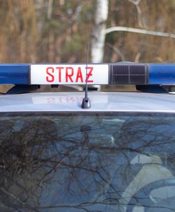 Tragedia na obwodnicy w Opolu. Auto stanęło w płomieniach