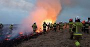 Park narodowy w ogniu. Wozy strażackie nie miały jak dojechać