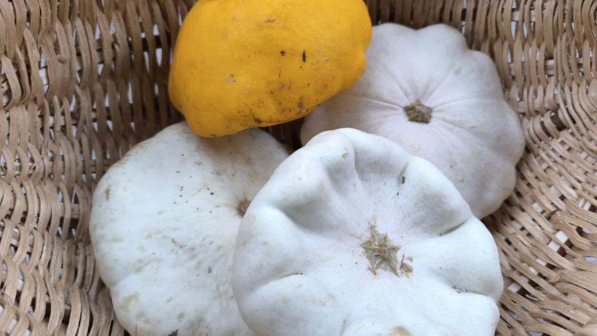 Co przygotować na obiad z patisonów?