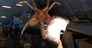 Borderlands wstrzymało produkcję Aliens: Colonial Marines