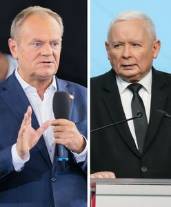 "Totalny nokaut Kaczyńskiego". Poseł ocenił pomysł Tuska