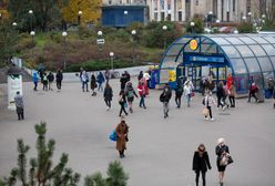 Spis powszechny 2021. O czym warto pamiętać?