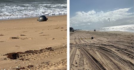 Tajemnicze kule na plaży w Queensland. Ruszyła szeroko zakrojona akcja
