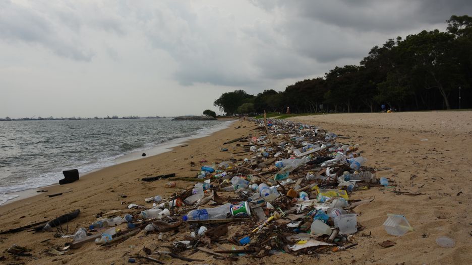 Plastik w oceanie