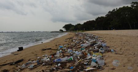 Wielka plama śmieci spędza sen z powiem ekologom
