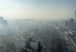 "Smog nie tylko w dużych miastach". Sprawdzili każde województwo
