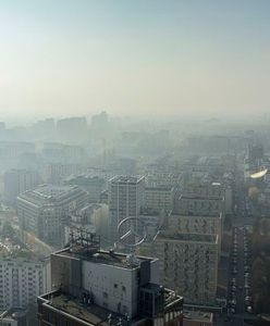 "Smog nie tylko w dużych miastach". Sprawdzili każde województwo