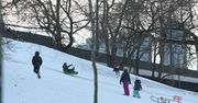 Warszawa: Zimowe szaleństwo. Jabłuszka i sanki poszły w ruch