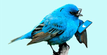 Twitter ostrzega: Android ma poważną dziurę. Zagrożone są prywatne wiadomości