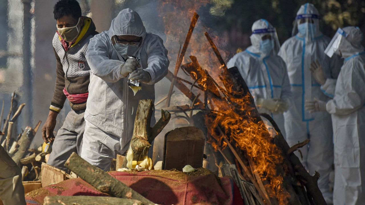 Jak ugasić następne pandemie (zanim się pojawią)