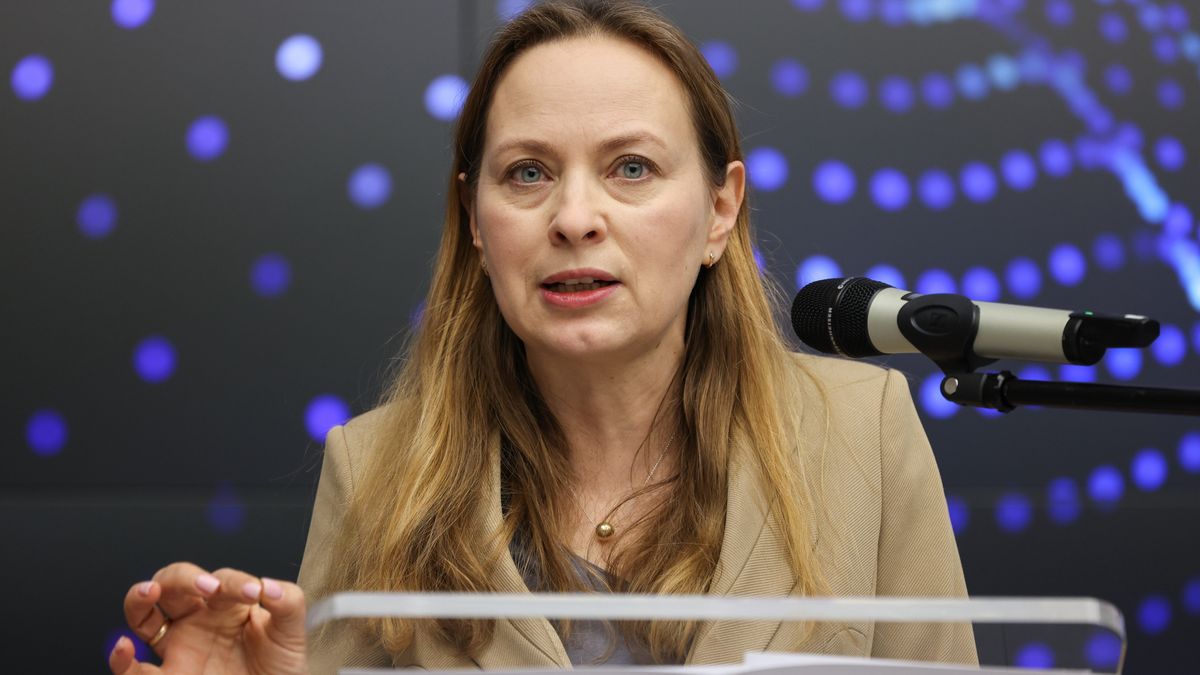 Warszawa, 10.01.2025. Minister funduszy i polityki regionalnej Katarzyna Pełczyńska-Nałęcz podczas konferencji prasowej w siedzibie MFiPR w Warszawie, 10 bm. Tematem spotkania było wsparcie innowacyjności polskich przedsiębiorstw 2025 ? informacje o nowych instrumentach i nowych naborach. (mr) PAP/Albert Zawada