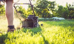 Mandat za koszenie trawy? Powraca coroczna dyskusja