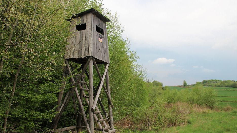Na zdjęciu jedna z ambon w powiecie zamojskim