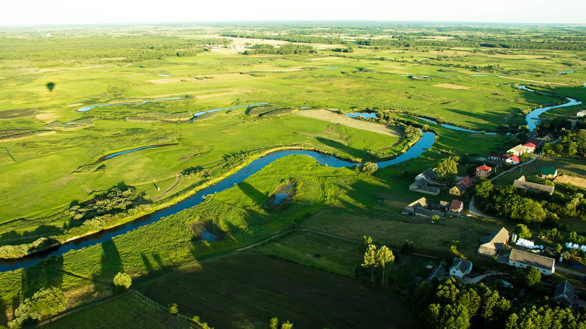 Biosfera: definicja i przykłady