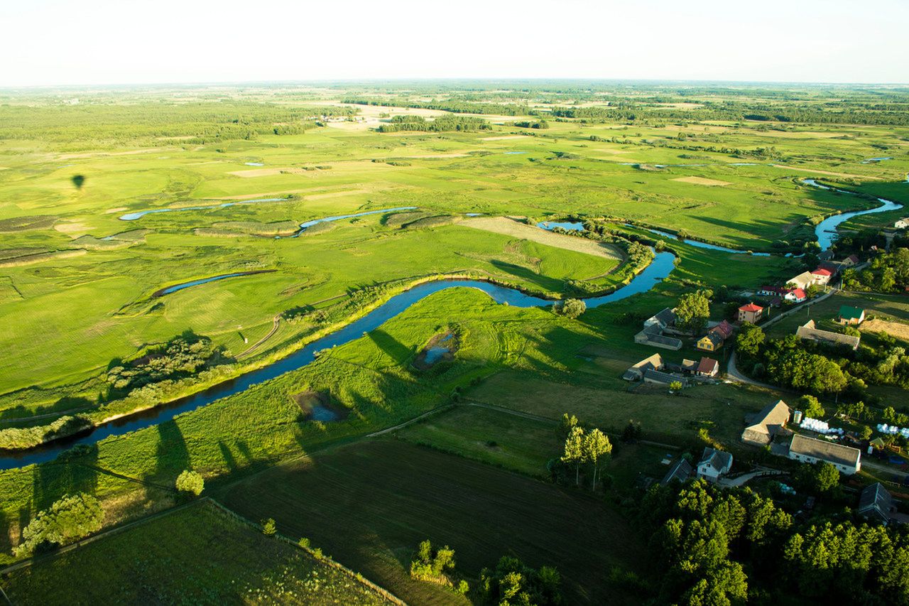 Biosfera: definicja i przykłady