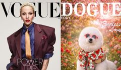 Condé Nast pozywa wydawcę "Dogue". Spór o znak towarowy "Vogue"