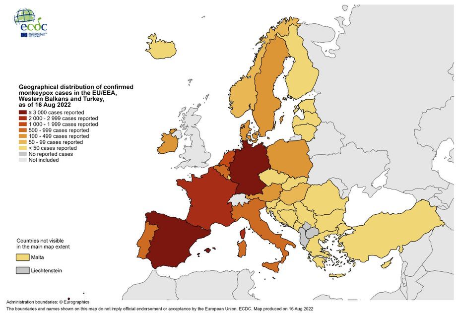 W ciągu czterech miesięcy w regionie europejskim zgłoszono blisko 19 tys. przypakdów małpiej ospy