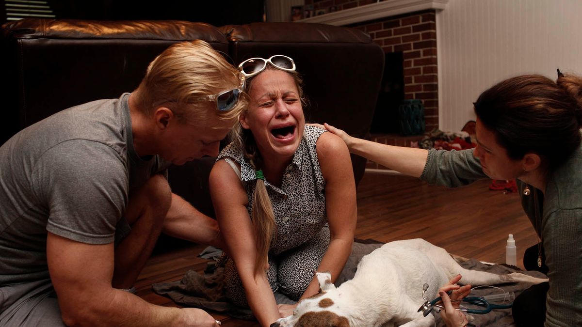 "Last Moments" to dokument, który opowiada o bólu po stracie ukochanego zwierzaka 1