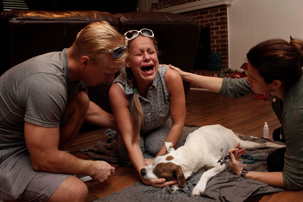 "Last Moments" to dokument, który opowiada o bólu po stracie ukochanego zwierzaka
