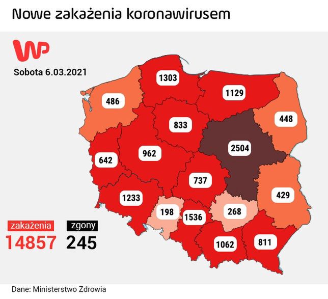 mapa zakażeń