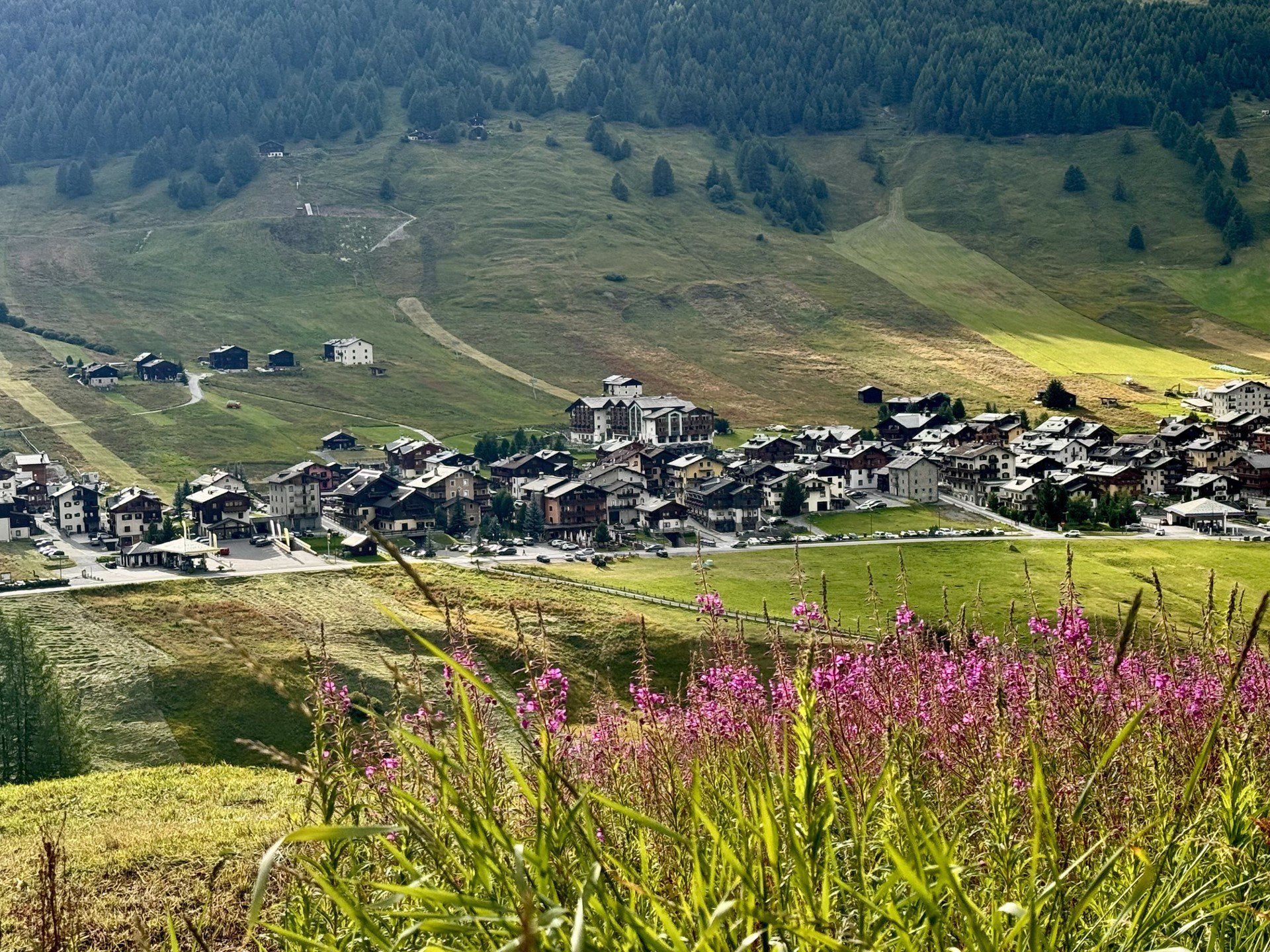 W Livigno jest mnóstwo sklepów, a sezon letni to czas wyprzedaży. Obok niektórych okazji ciężko przejść obojętnie.