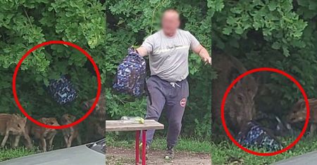 Dziki wyrwały dziecku plecak. Rzucili się na pomoc. Jest nagranie