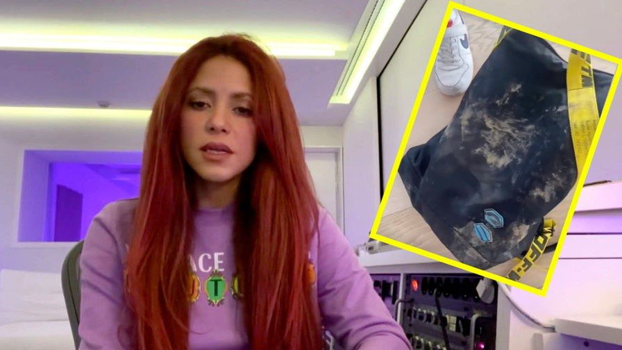 Shakira opowiedziała na Instagramie o ataku dzików 