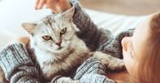 Felinoterapia – kocia moc, która leczy