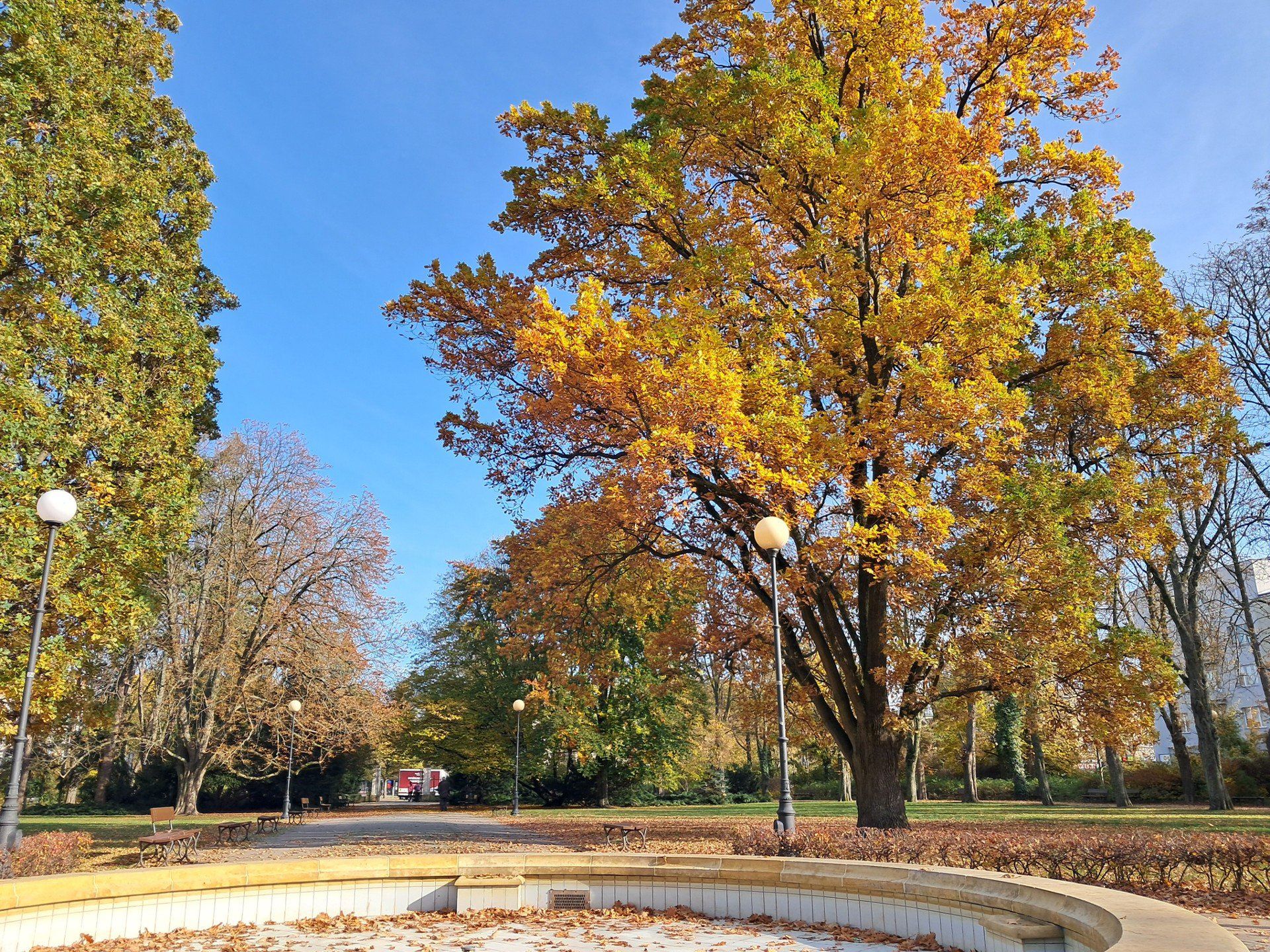 Park Dreszera w Warszawie zachwyca jesienią