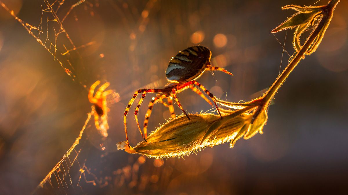 Piękno polskiej natury pokazane na zdjęciach Pawła Plucińskiego 1