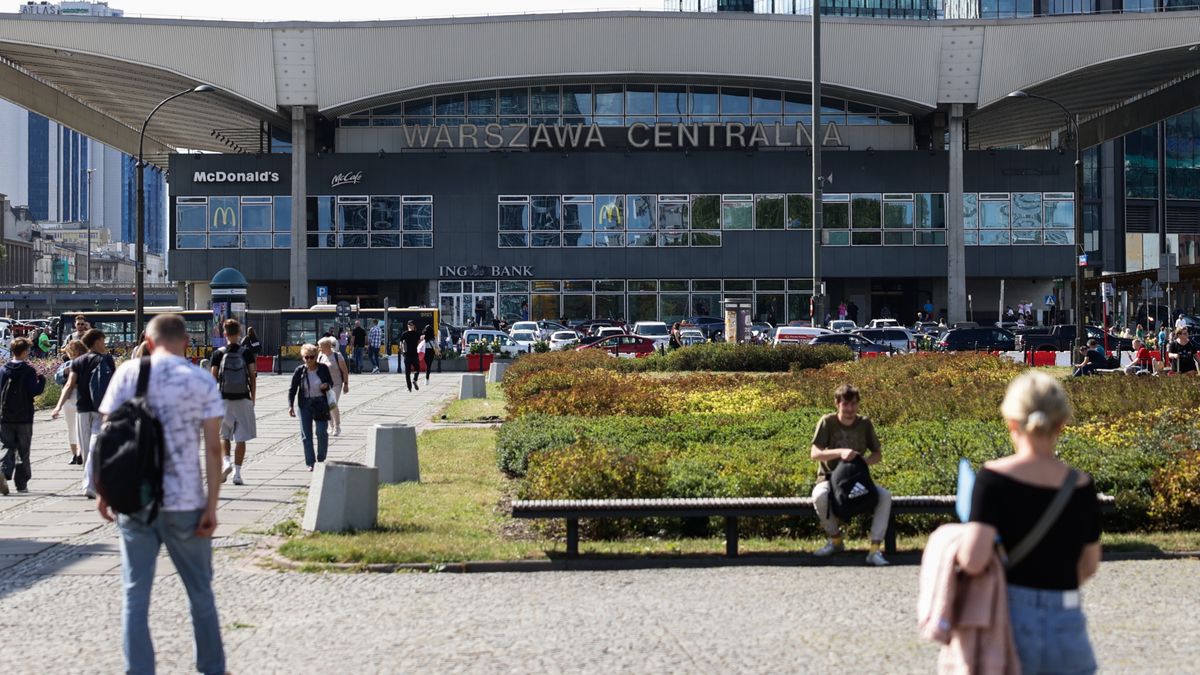 W Polsce ten zawód robi furorę. Wzrost zarobków szybszy niż w IT