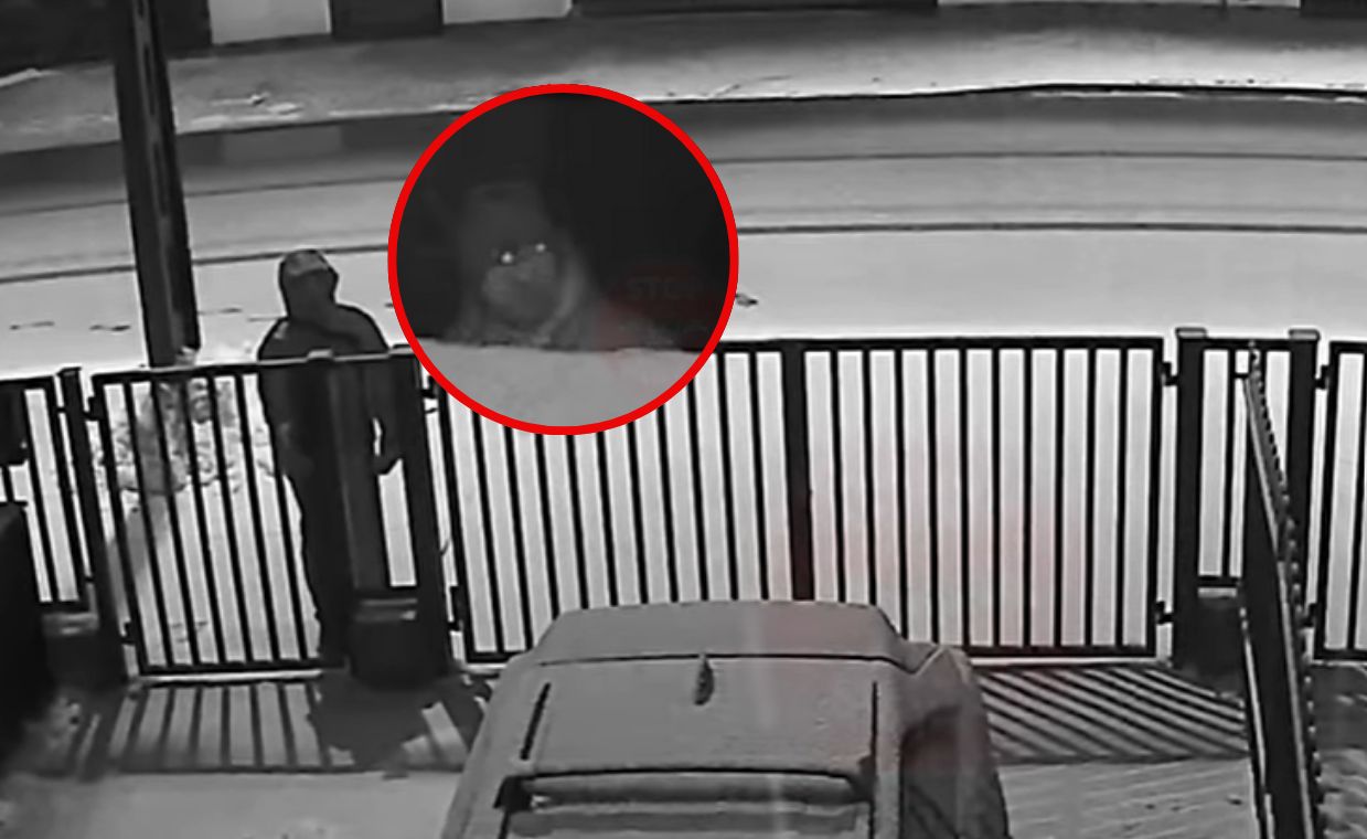 Kamera nagrała złodzieja. Tak kradną auta w Warszawie