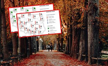 Jaka będzie jesień w pogodzie? Są pierwsze prognozy