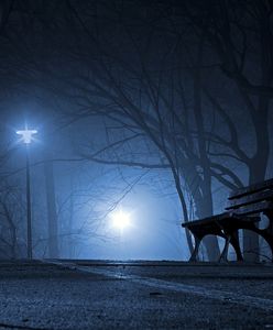 Wrocław. "Ławeczka mieszkańca". Można zgłosić swoją propozycję