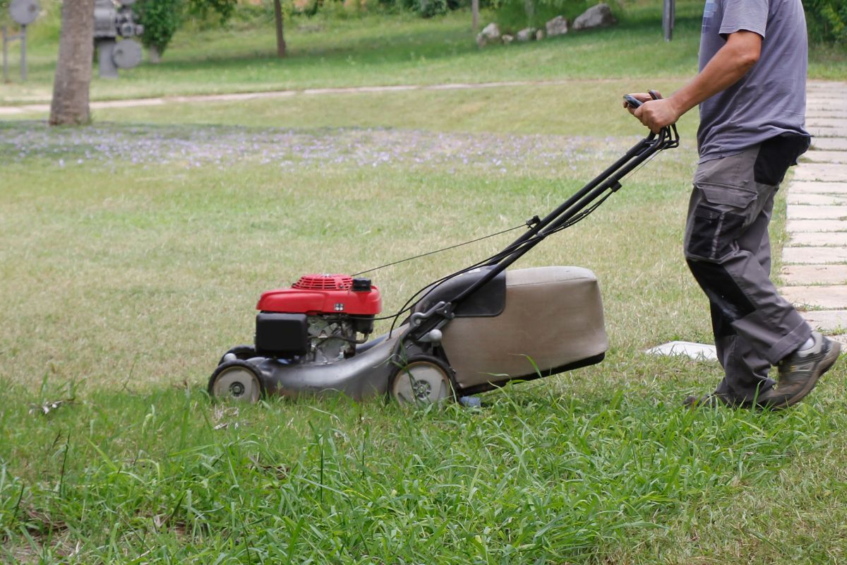 Kiedy najlepiej skosić trawnik po zimie?