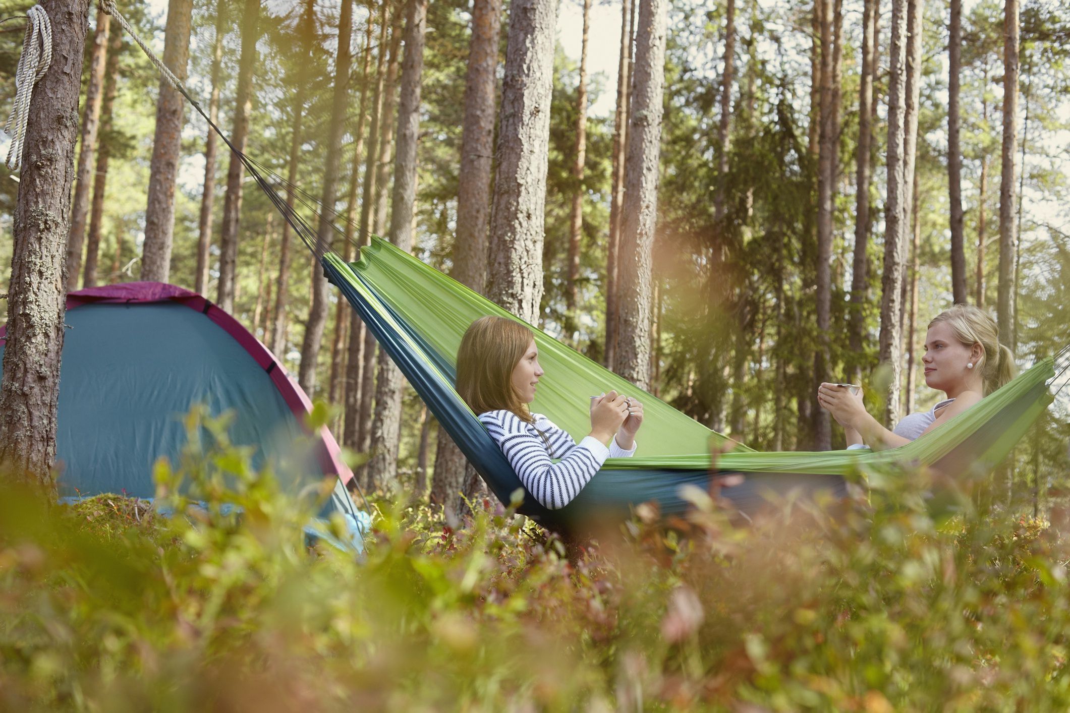 Nocleg w lesie to idealna okazja do obcowania z naturą i relaksu