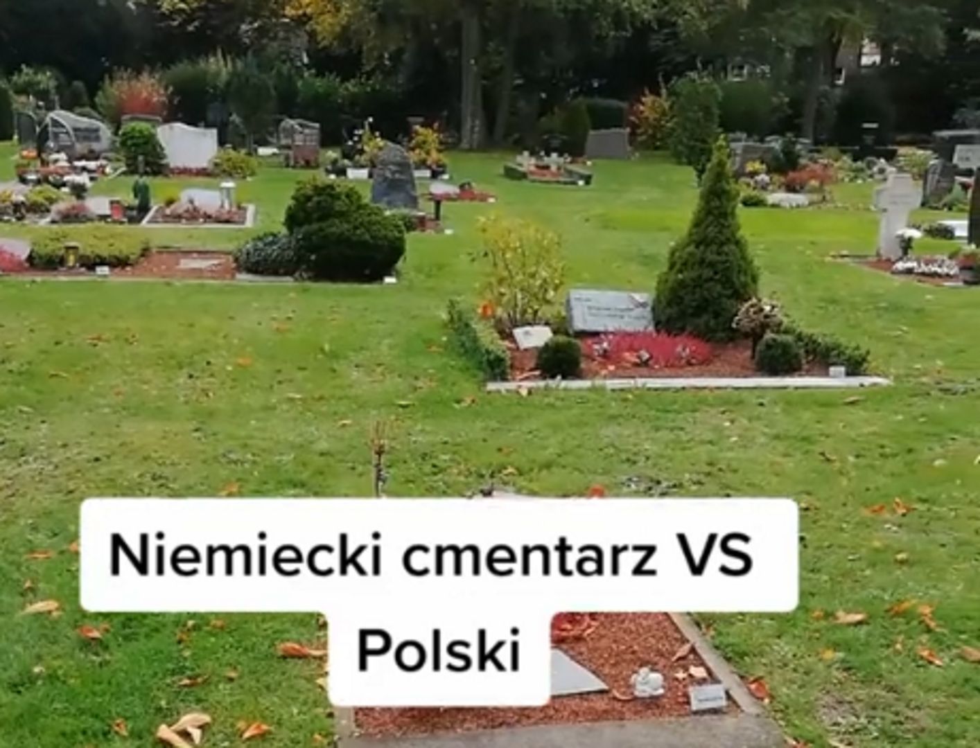 Poszedł na cmentarz w Niemczech. "Polacy przesadzają"