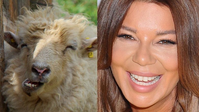 Edyta Górniak kupiła dom w górach