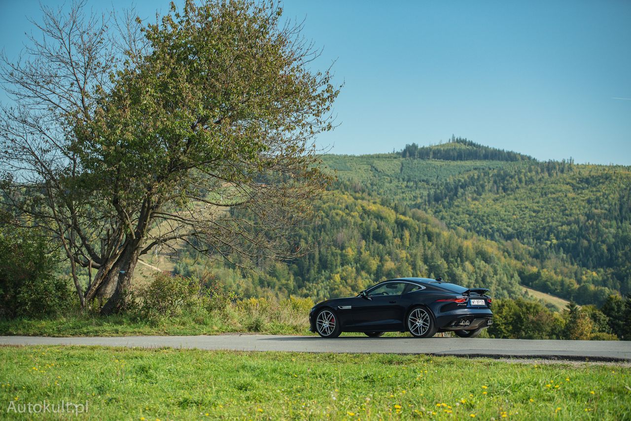 Jaguar F-Type P450 (2022)