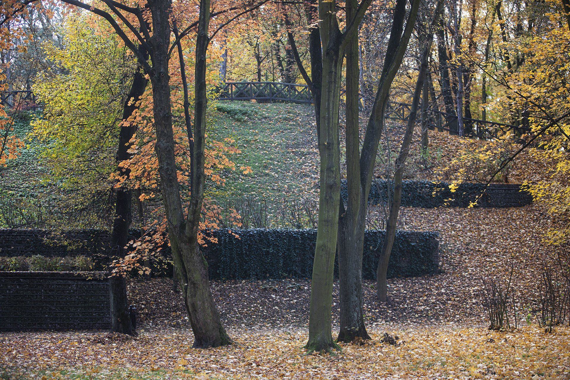 Ten park z XIX wieku na Śląsku zachwyca jesienią