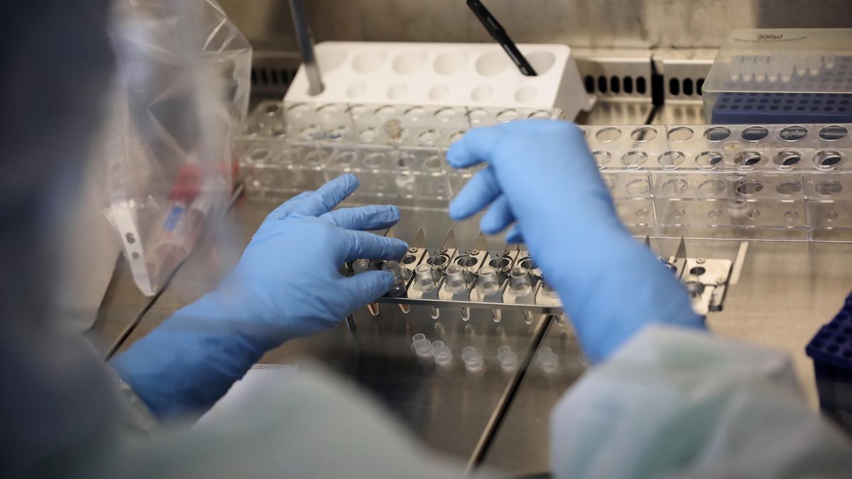 koronawirus w Polsce