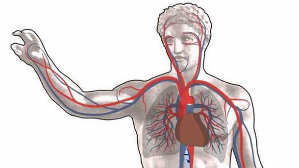 Nanorakiety pomogą w walce z chorobami [wideo] 1